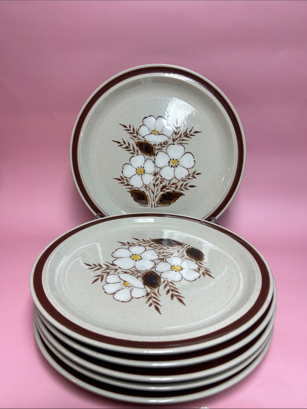 Vintage hand decorated Northland Classic Floral Stoneware Dinner Plates Set of 6